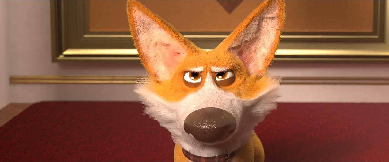 A corgi looking unimpressed in the animated short Barking Orders