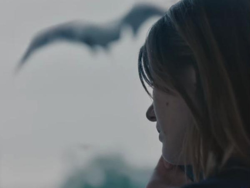 A woman looks out a window as a bird flies past in Fár